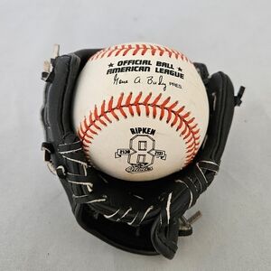 Cal Ripken Jr 2131 MLB Collectible Rawlings Baseball in Baseball Glove Display